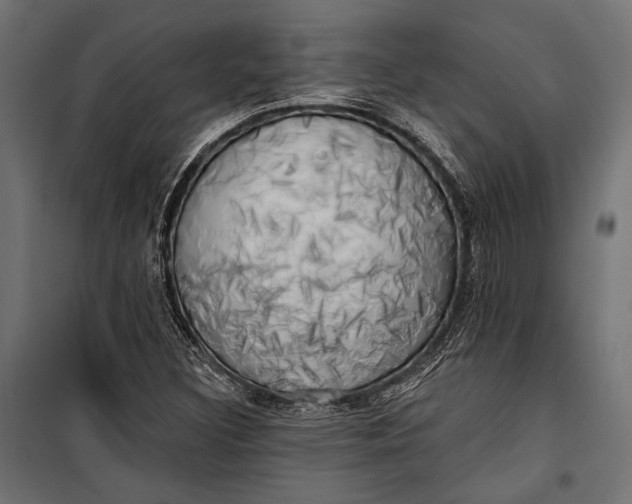 X0000100331308200806191058