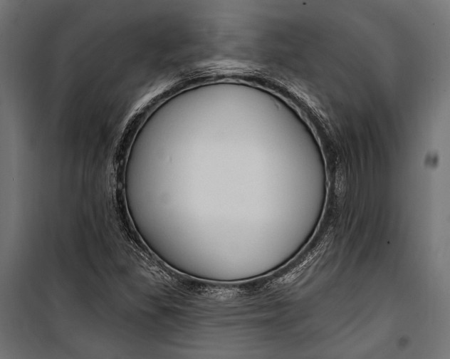 X0000100331309200806191058