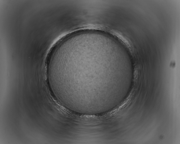 X0000100331310200806191058