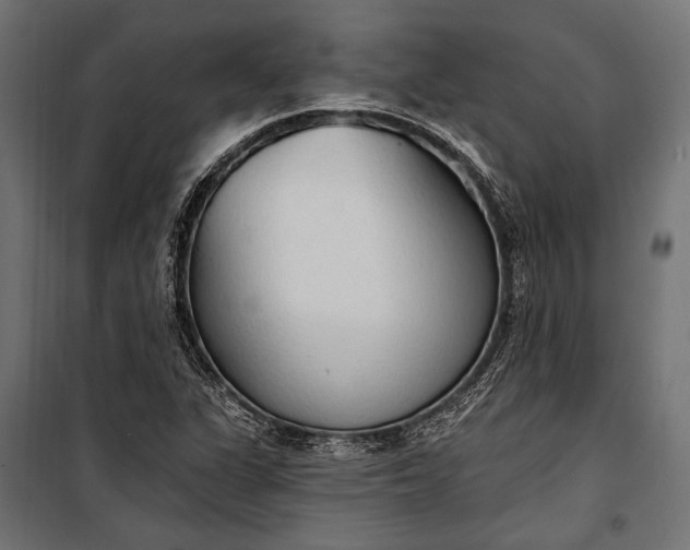 X0000100331311200806191058