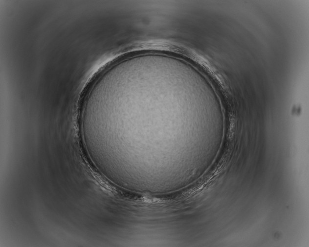 X0000100331312200806191058