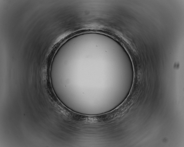 X0000100331315200806191058