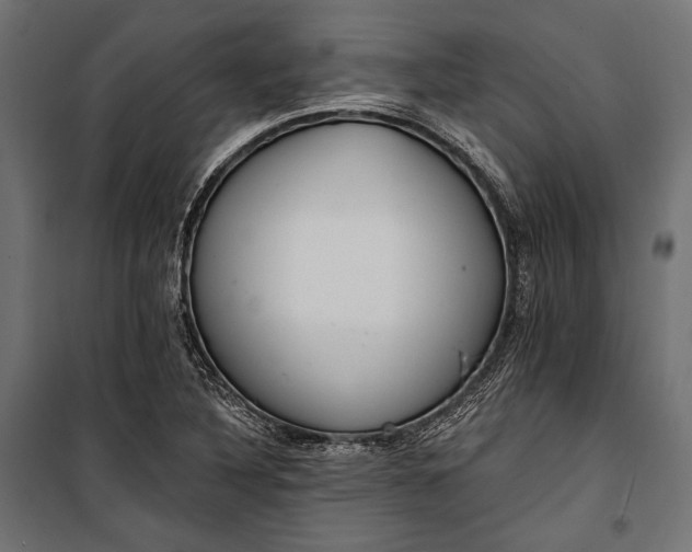 X0000100331316200806191058