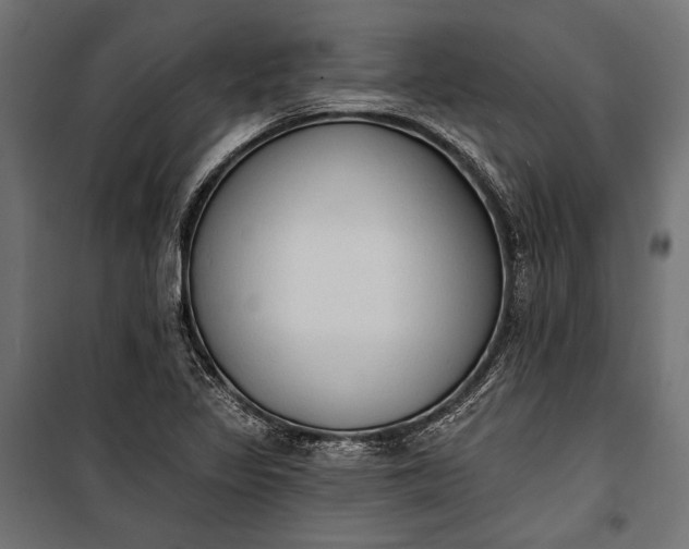 X0000100331317200806191058