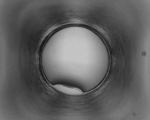 X0000100331318200806191058