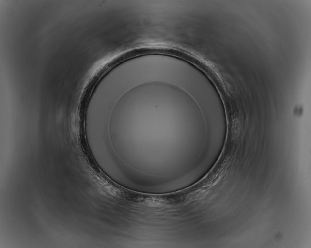 X0000100331319200806191059