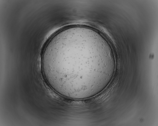 X0000100331320200806191059