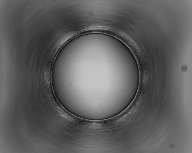 X0000100331321200806191059