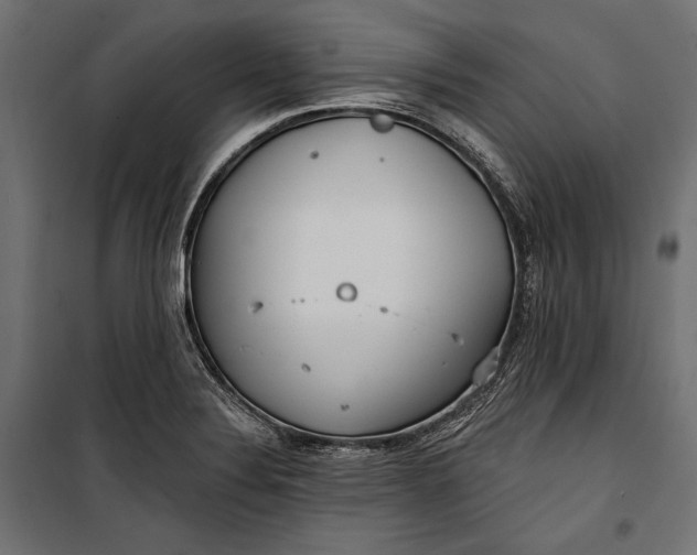 X0000100331324200806191059