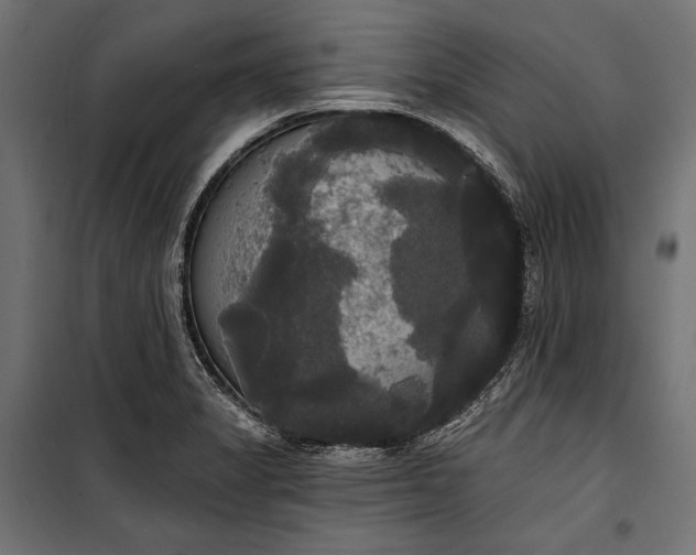 X0000100331325200806191059