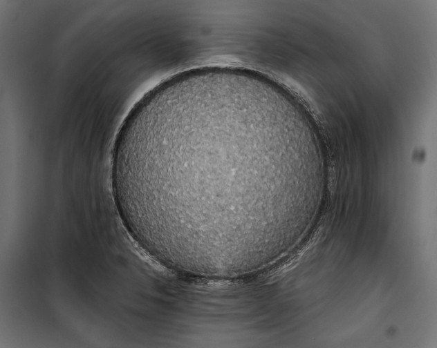 X0000100331326200806191059