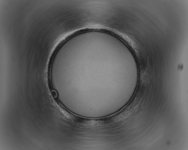 X0000100331327200806191059