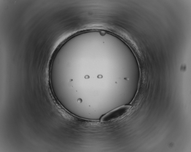 X0000100331328200806191059