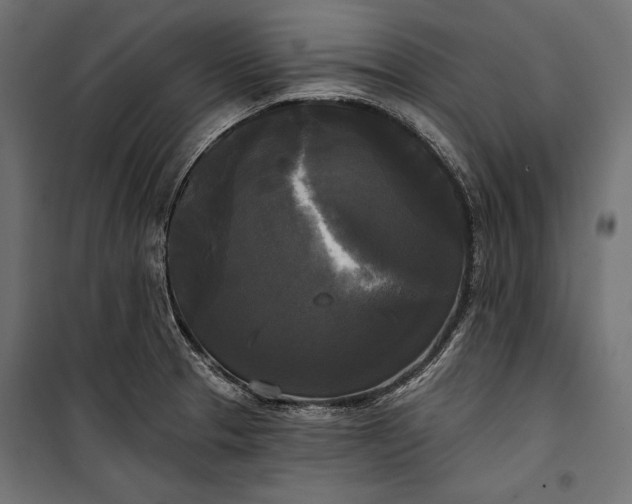 X0000100331329200806191059