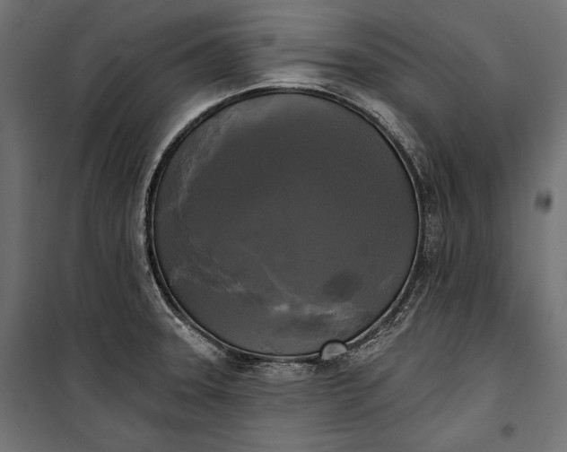 X0000100331331200806191059