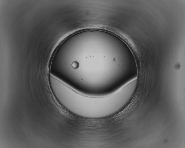 X0000100331332200806191059