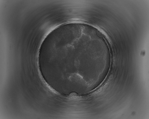 X0000100331333200806191059