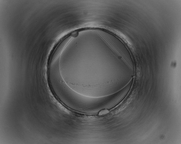 X0000100331334200806191059