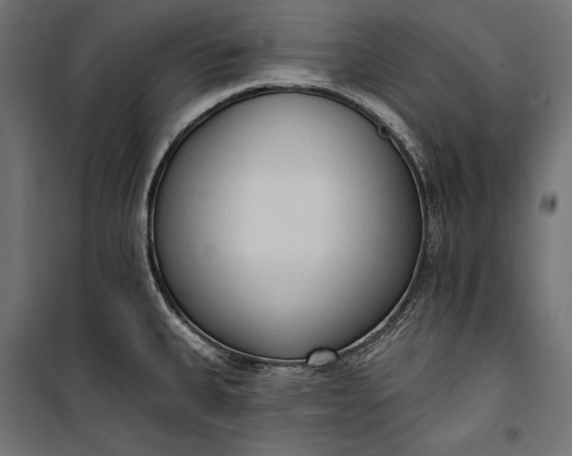 X0000100331335200806191059