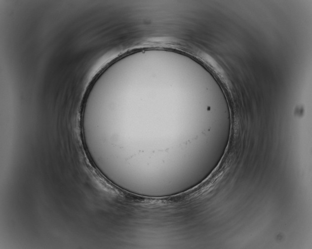 X0000100331336200806191059