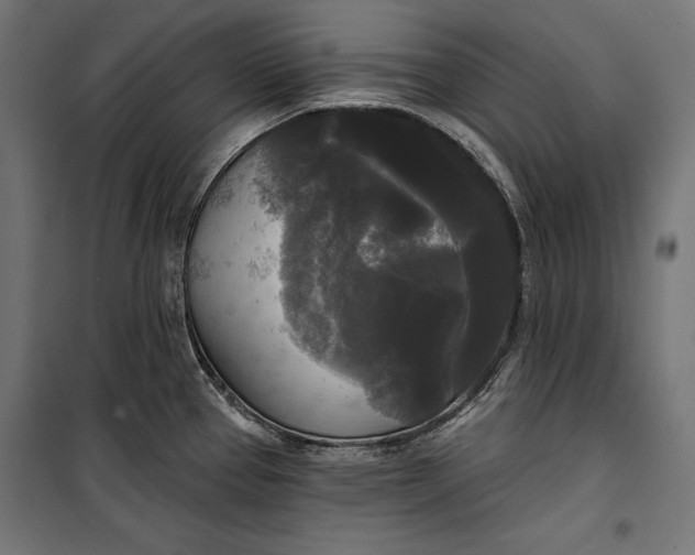 X0000100331337200806191059