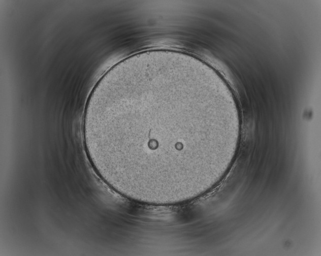 X0000100331338200806191059