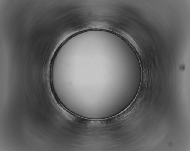 X0000100331339200806191059