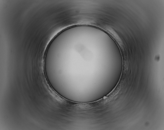 X0000100331340200806191059