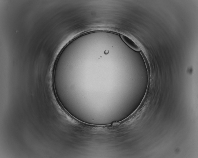 X0000100331341200806191059