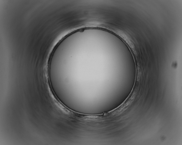 X0000100331342200806191059