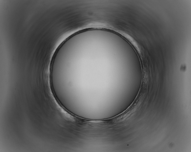 X0000100331343200806191059