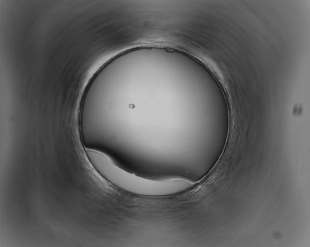 X0000100331344200806191059