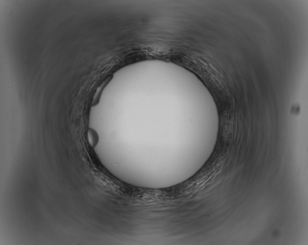 X0000100331345200806191058