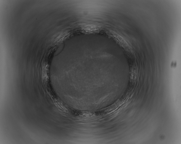 X0000100331346200806191058