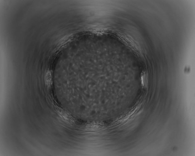 X0000100331347200806191058