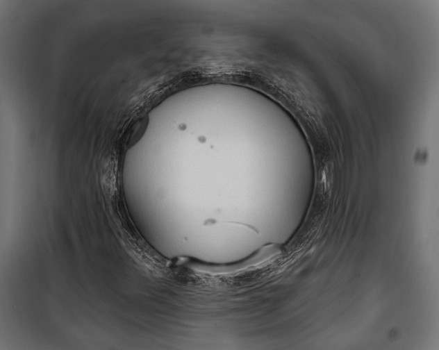 X0000100331348200806191058