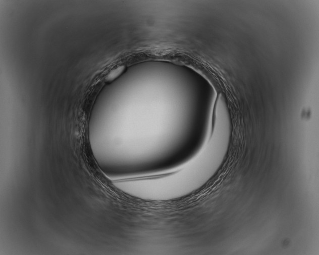 X0000100331349200806191058