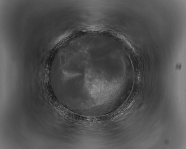 X0000100331350200806191058