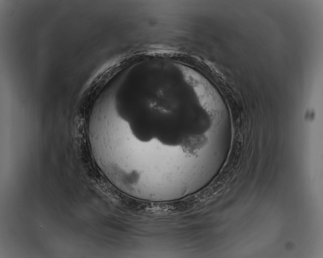 X0000100331351200806191058