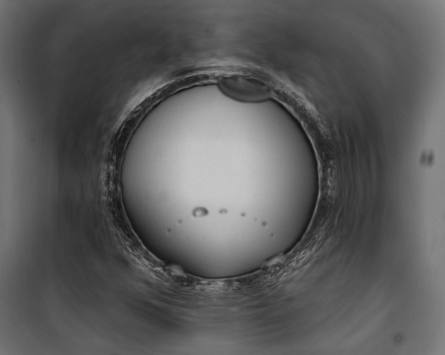 X0000100331352200806191058