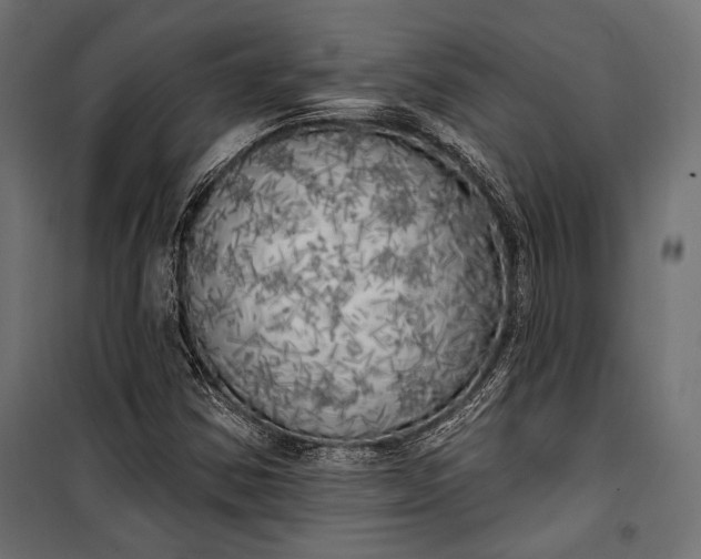 X0000100331354200806191058