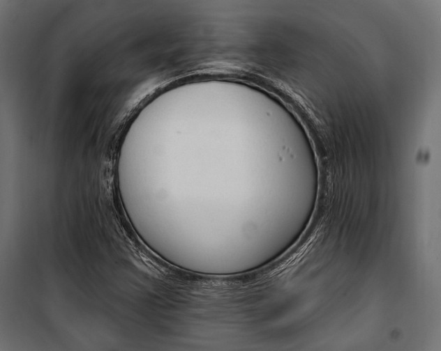 X0000100331355200806191058