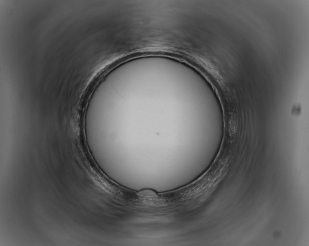 X0000100331356200806191058