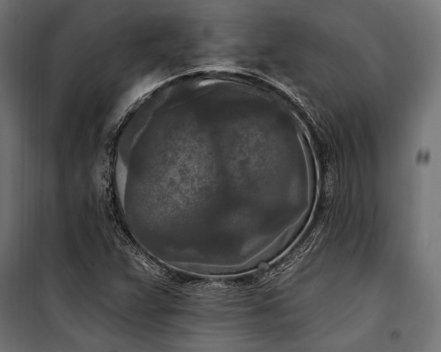 X0000100331359200806191058