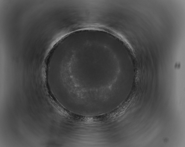 X0000100331360200806191058