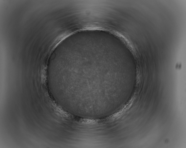 X0000100331361200806191058