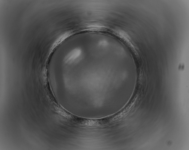 X0000100331362200806191058