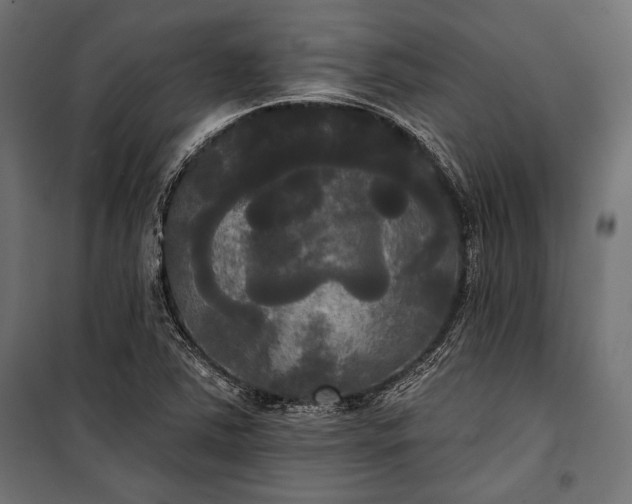 X0000100331363200806191058