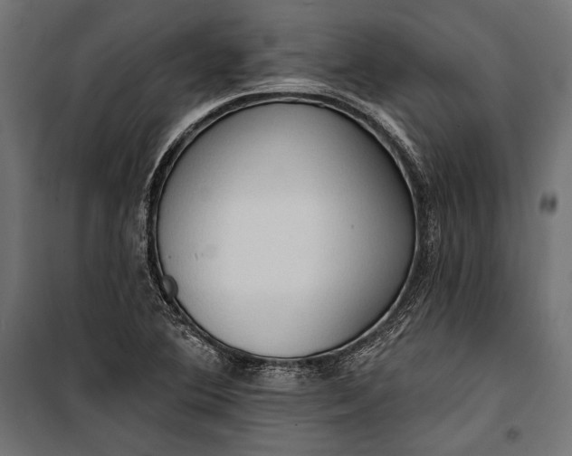 X0000100331364200806191058