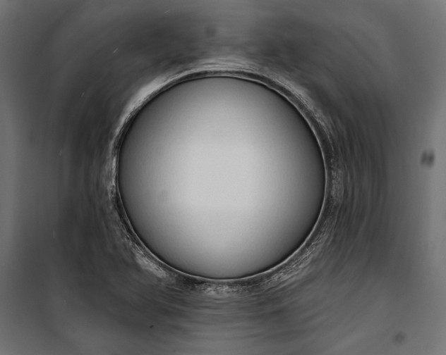 X0000100331366200806191058